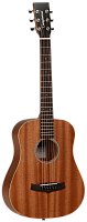 TANGLEWOOD TW2 T