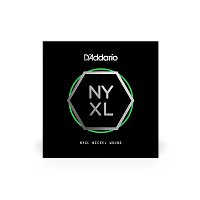 D`ADDARIO NYNW053