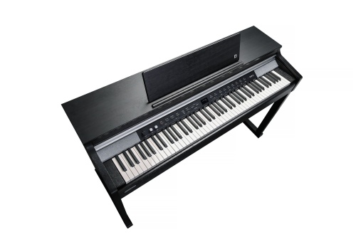 Kurzweil CUP P1 SR фото 4